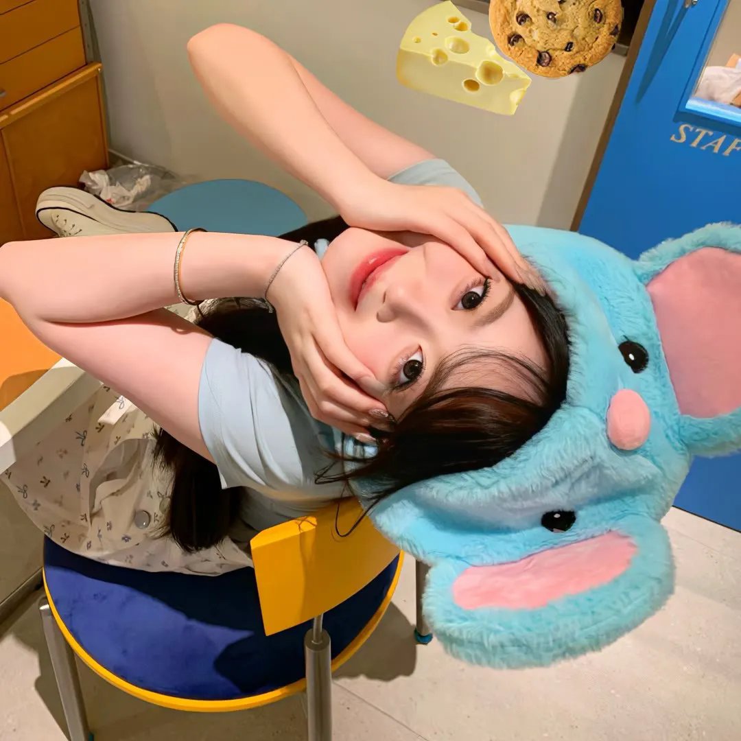 戴帽子的猫